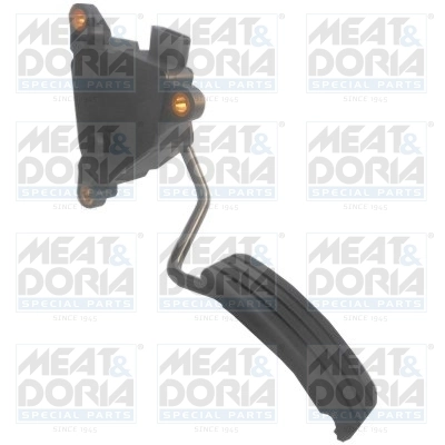 Accelerator Pedal Unit